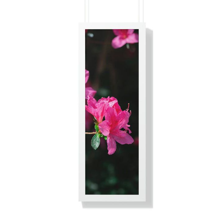 Standout Azalea - Framed Print - Visiting This World