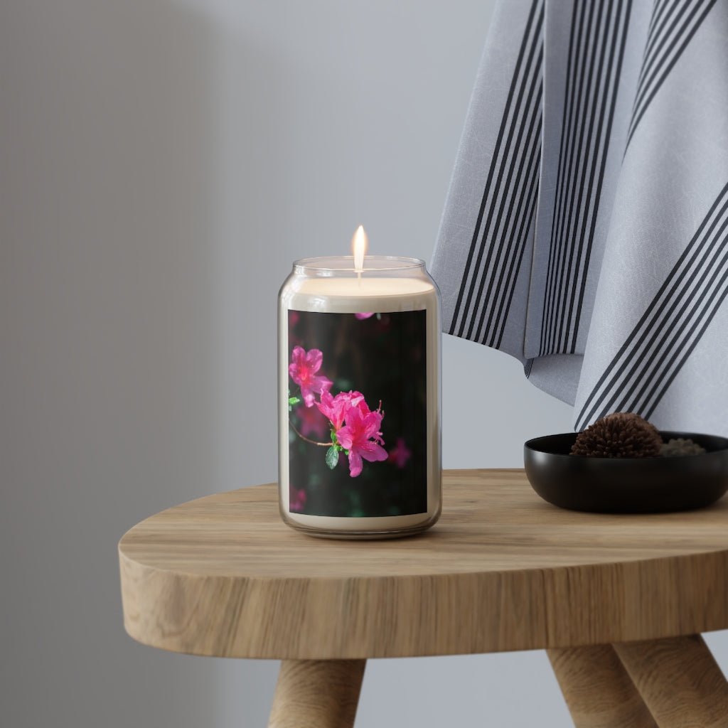 Standout Azalea - Scented Candle, 13.75oz - Visiting This World