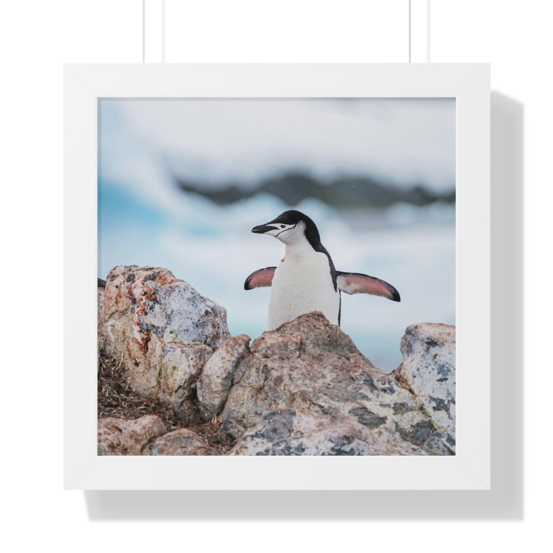 Stretched Penguin - Framed Print - Visiting This World