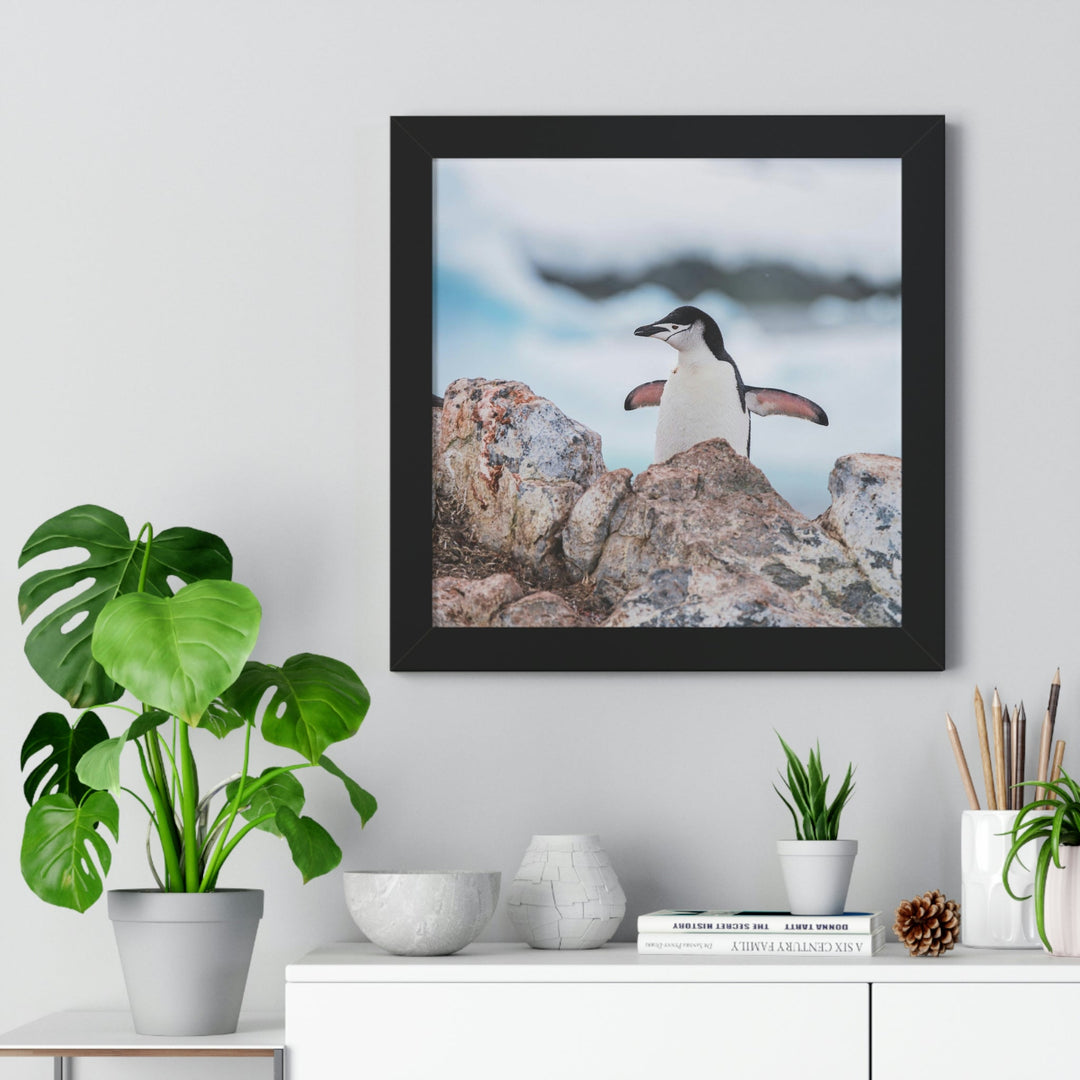 Stretched Penguin - Framed Print - Visiting This World