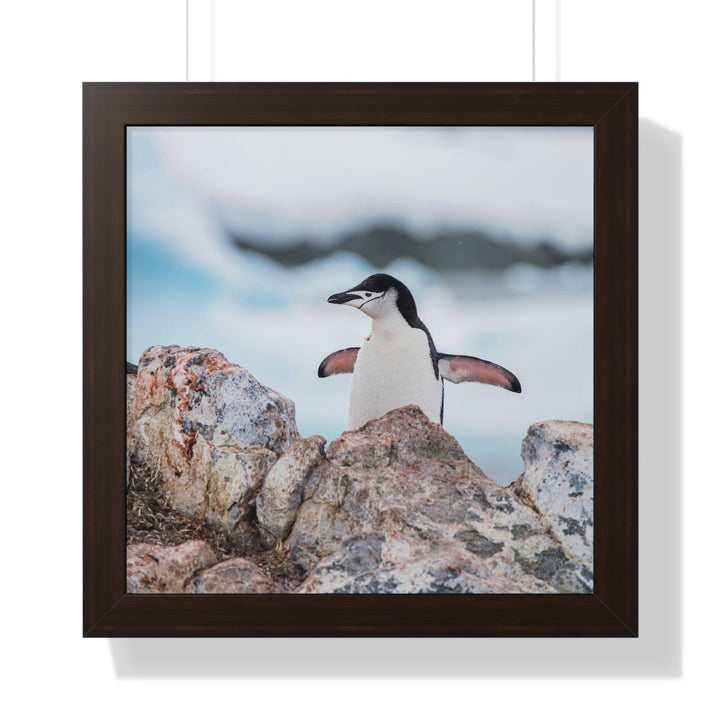 Stretched Penguin - Framed Print - Visiting This World