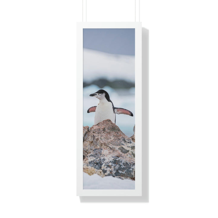 Stretched Penguin - Framed Print - Visiting This World