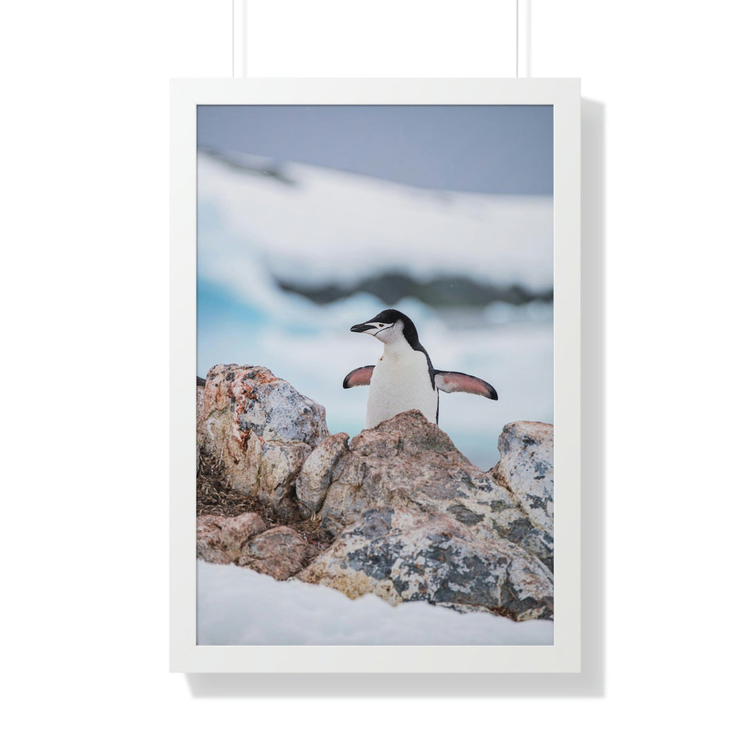 Stretched Penguin - Framed Print - Visiting This World