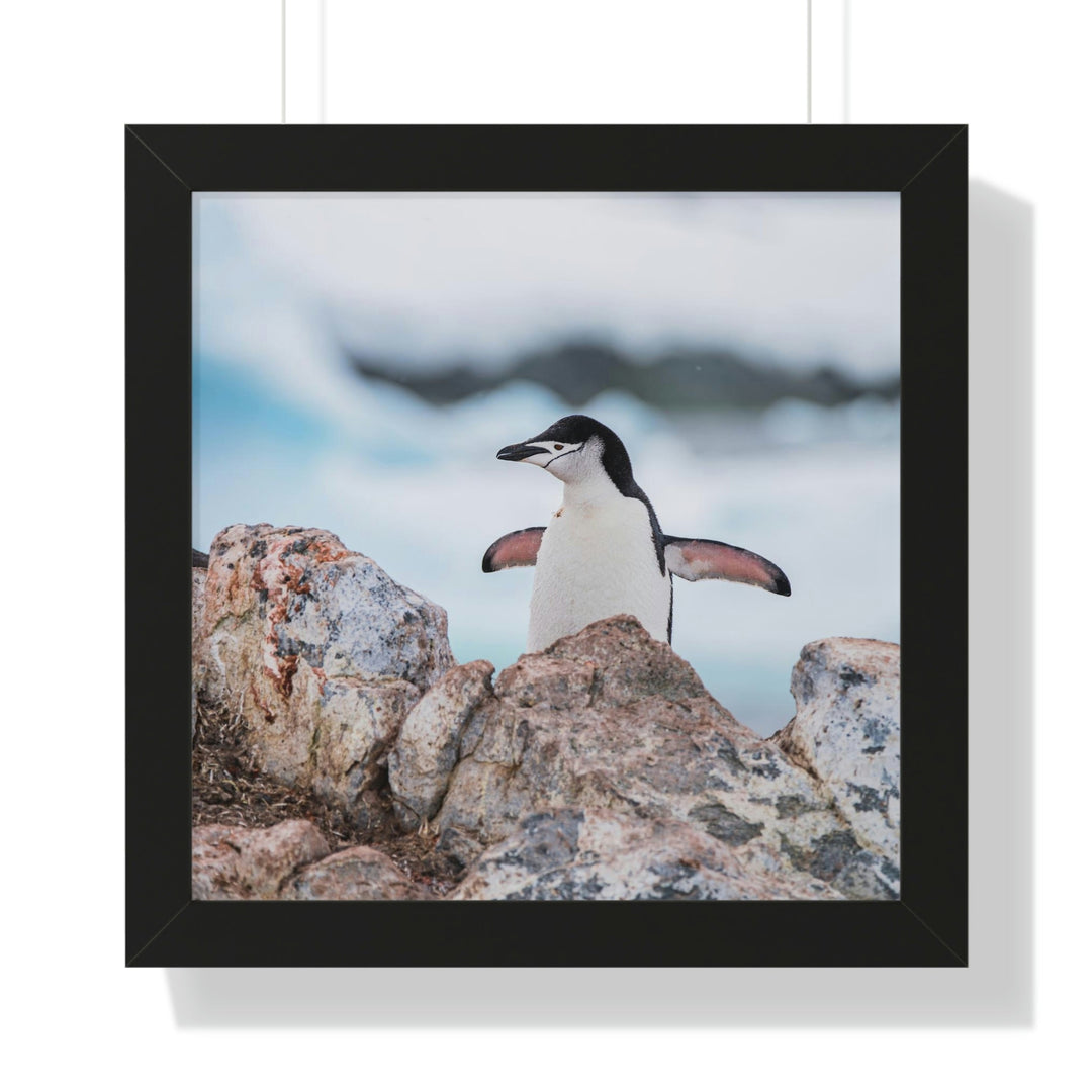 Stretched Penguin - Framed Print - Visiting This World