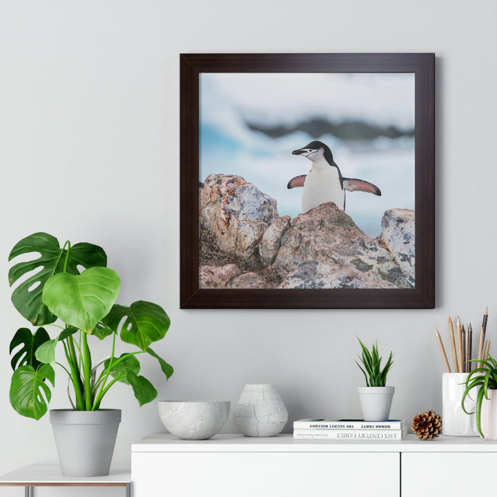 Stretched Penguin - Framed Print - Visiting This World