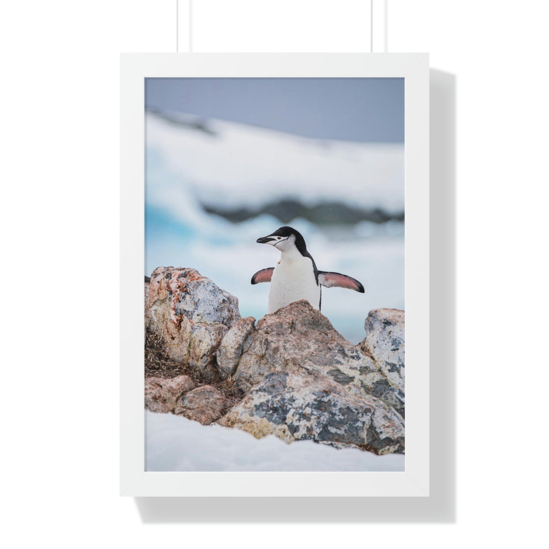 Stretched Penguin - Framed Print - Visiting This World