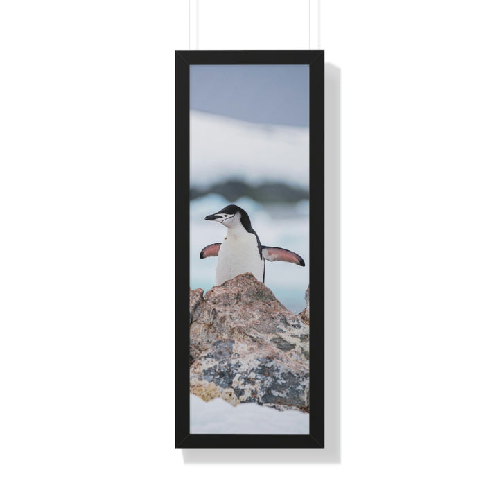 Stretched Penguin - Framed Print - Visiting This World