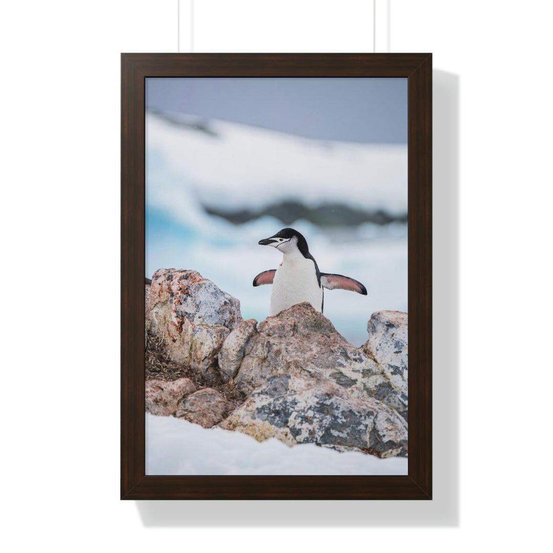 Stretched Penguin - Framed Print - Visiting This World