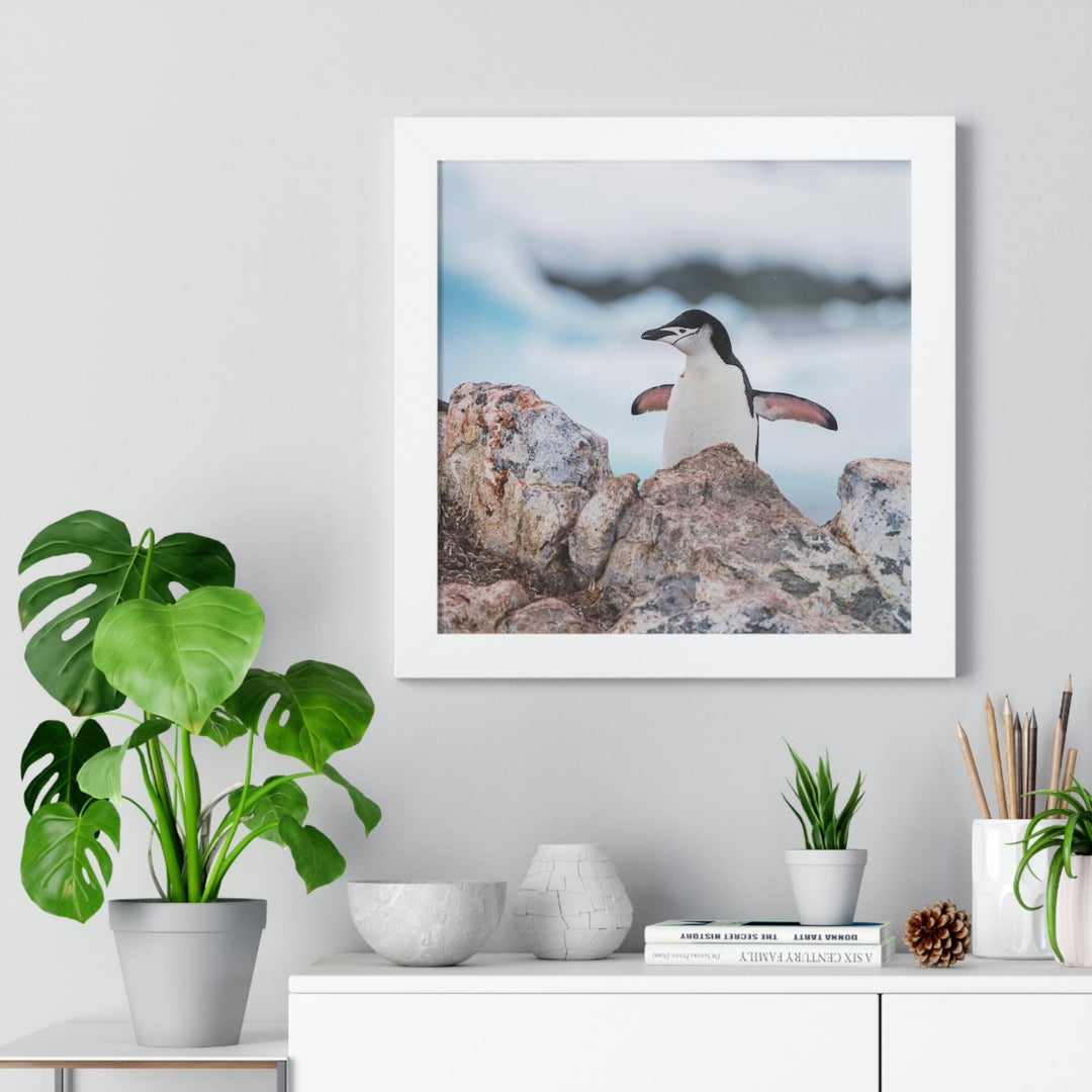 Stretched Penguin - Framed Print - Visiting This World