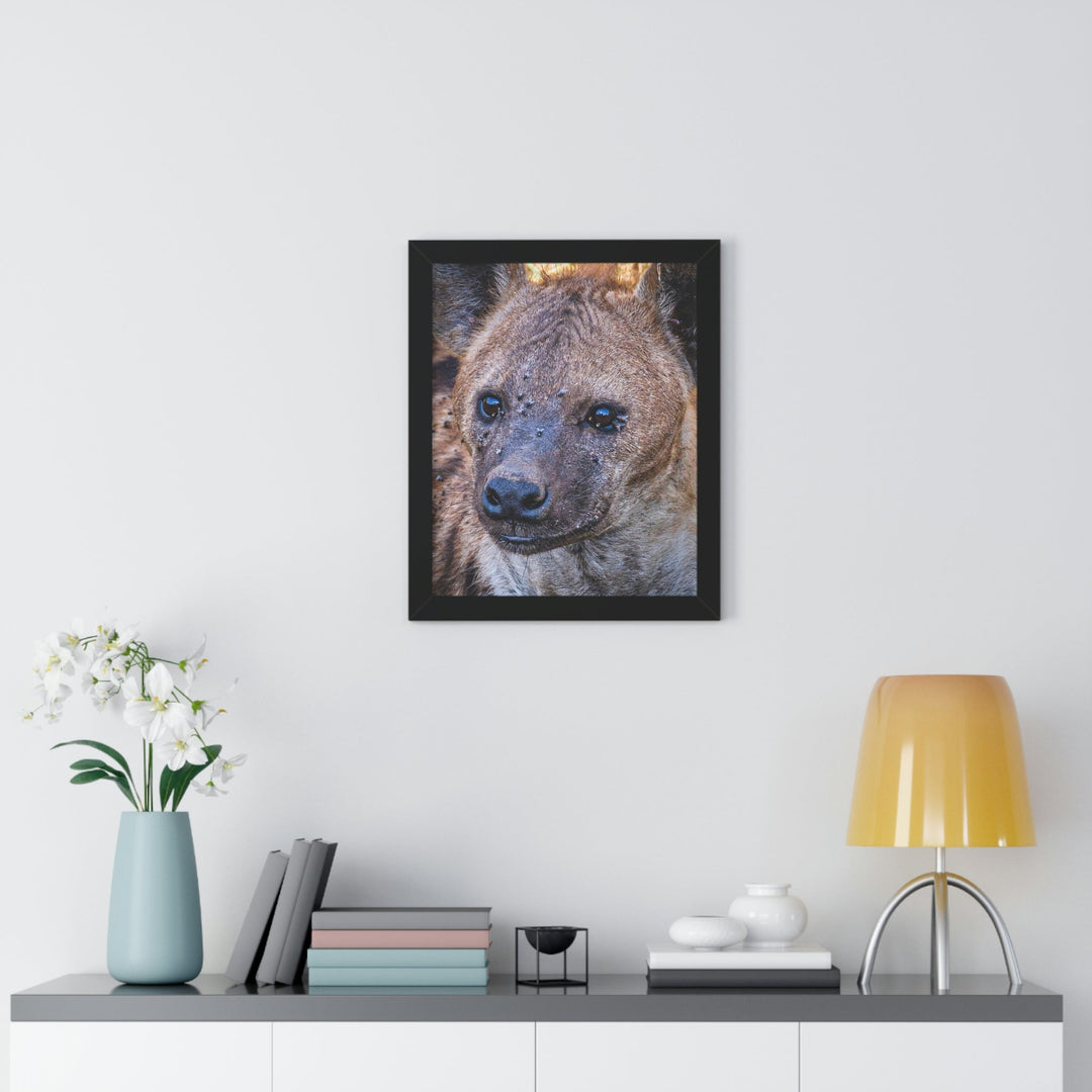 Studied Stare - Framed Print - Visiting This World