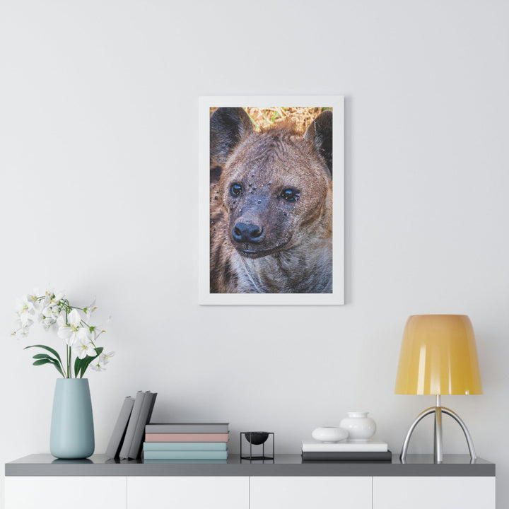 Studied Stare - Framed Print - Visiting This World