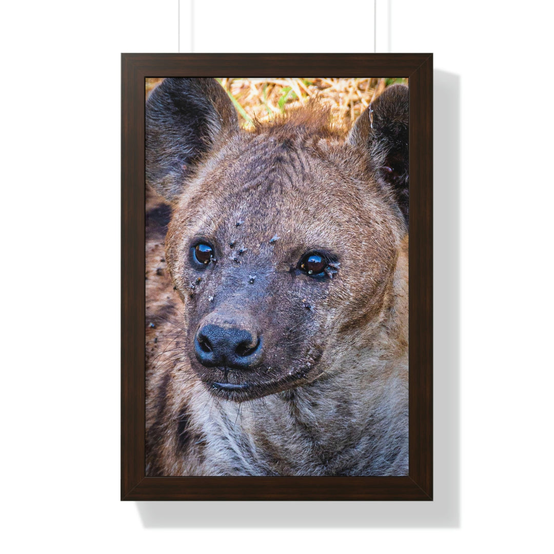 Studied Stare - Framed Print - Visiting This World