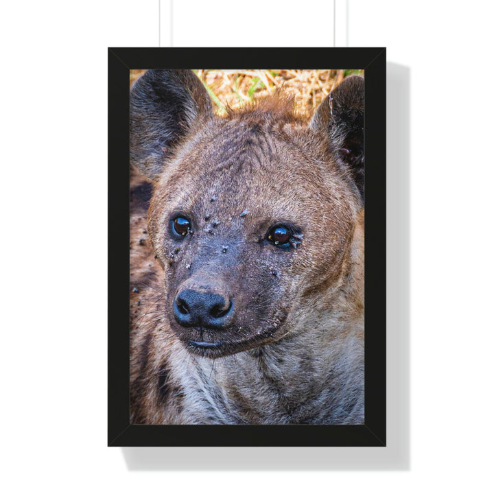 Studied Stare - Framed Print - Visiting This World