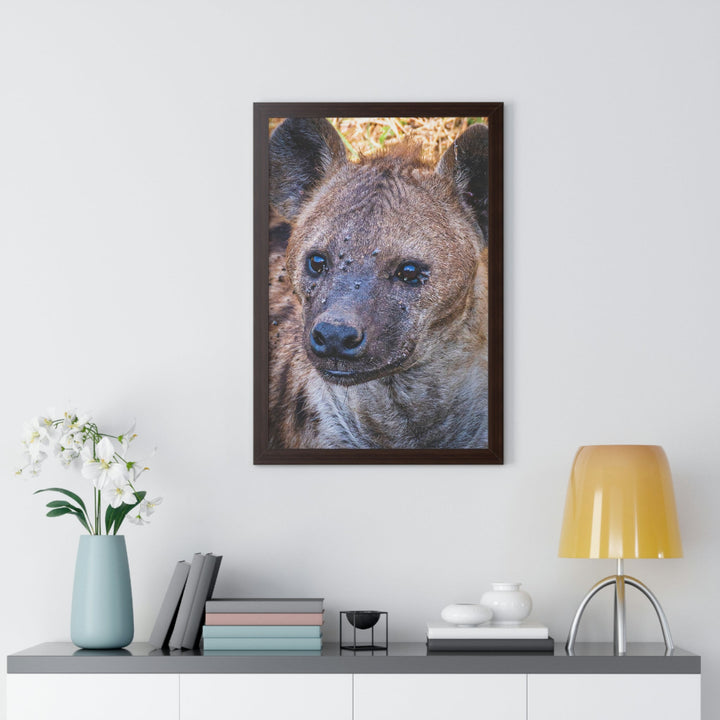 Studied Stare - Framed Print - Visiting This World