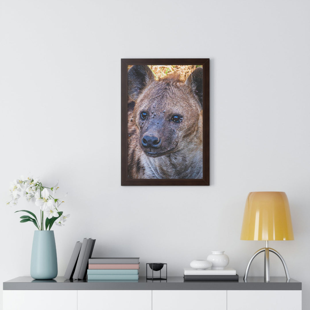 Studied Stare - Framed Print - Visiting This World