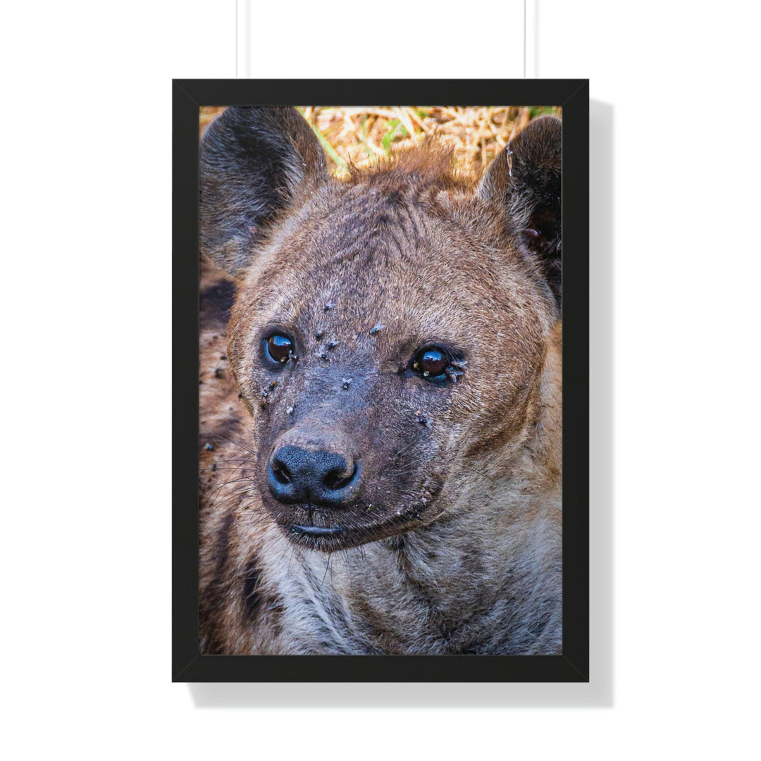 Studied Stare - Framed Print - Visiting This World