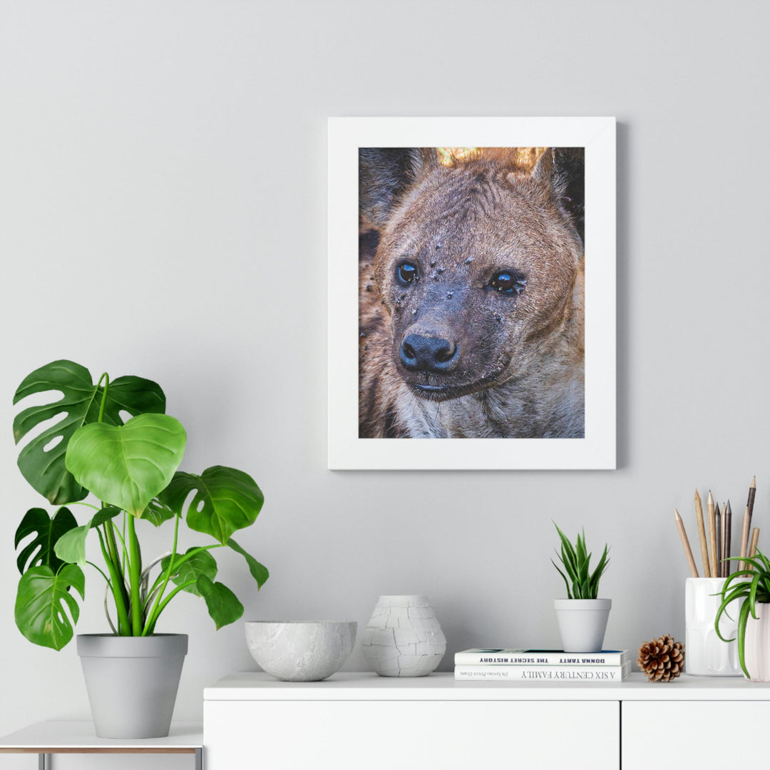 Studied Stare - Framed Print - Visiting This World