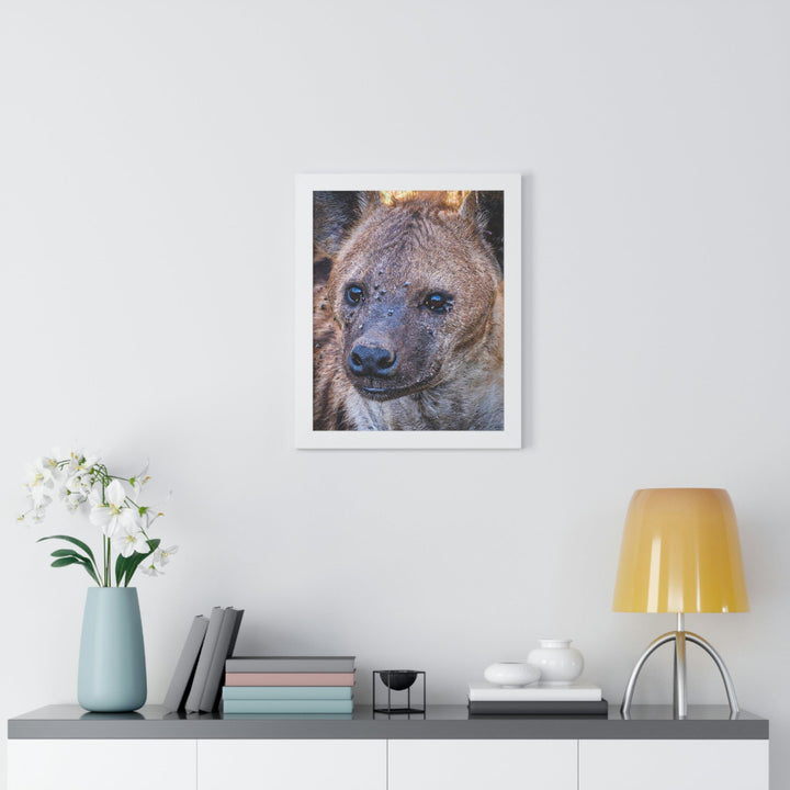 Studied Stare - Framed Print - Visiting This World