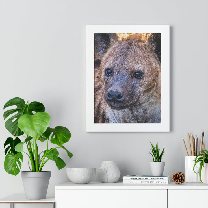 Studied Stare - Framed Print - Visiting This World