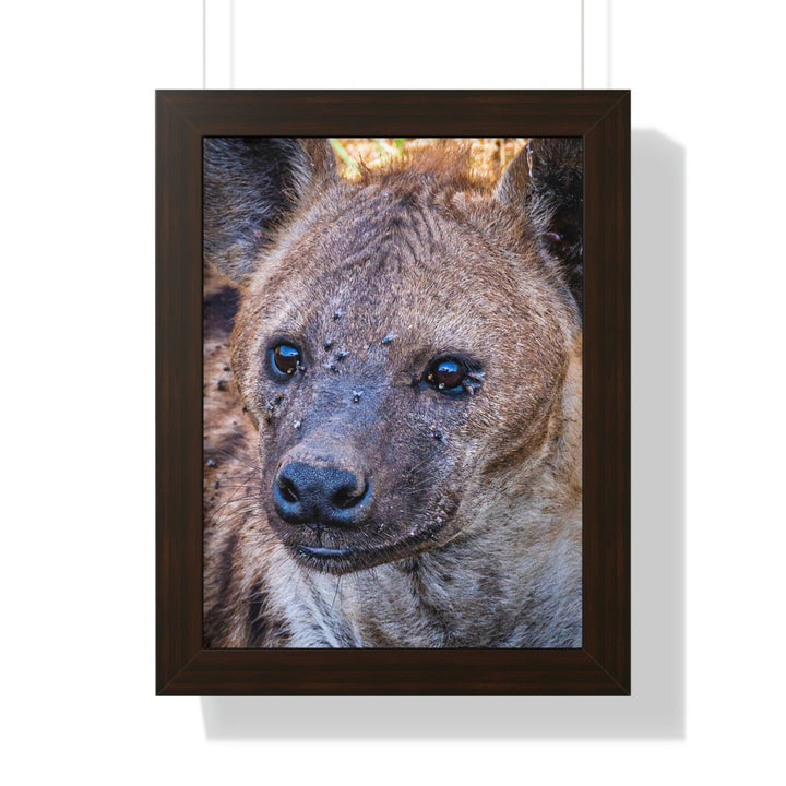 Studied Stare - Framed Print - Visiting This World