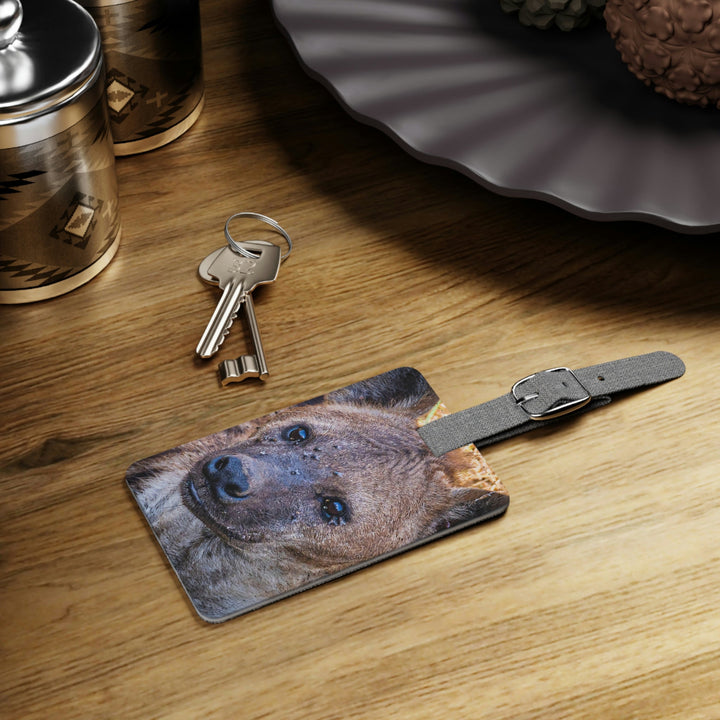 Studied Stare - Luggage Tag - Visiting This World