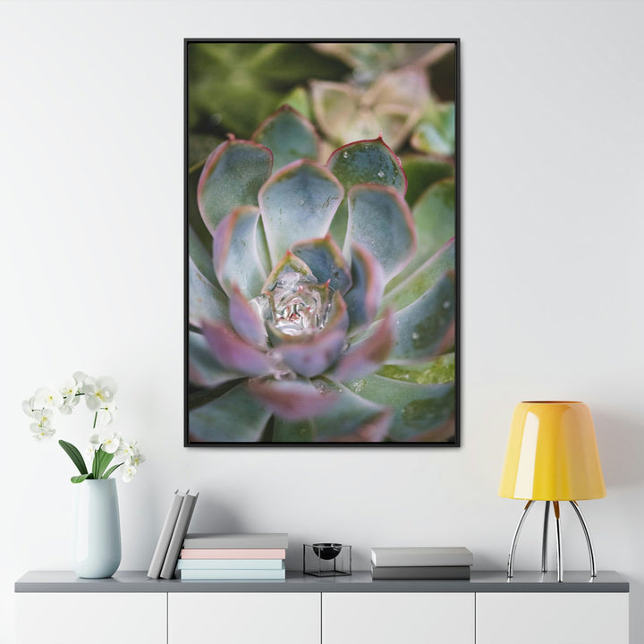 Stunning Succulent - Canvas with Frame - Visiting This World