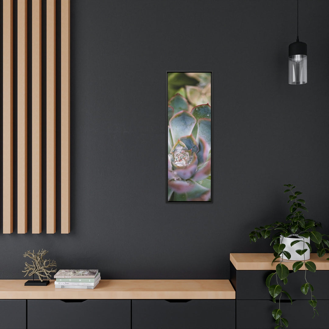 Stunning Succulent - Canvas with Frame - Visiting This World