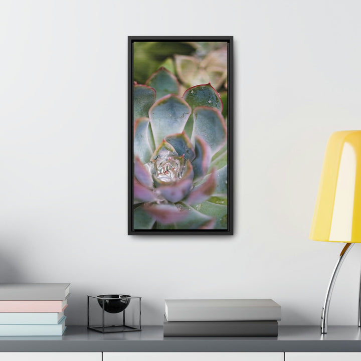 Stunning Succulent - Canvas with Frame - Visiting This World