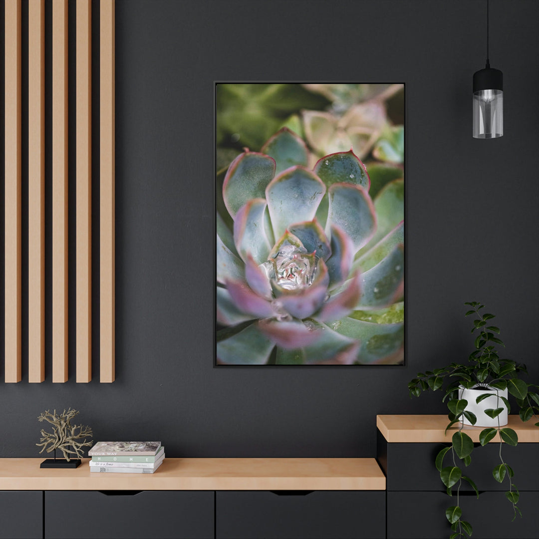 Stunning Succulent - Canvas with Frame - Visiting This World