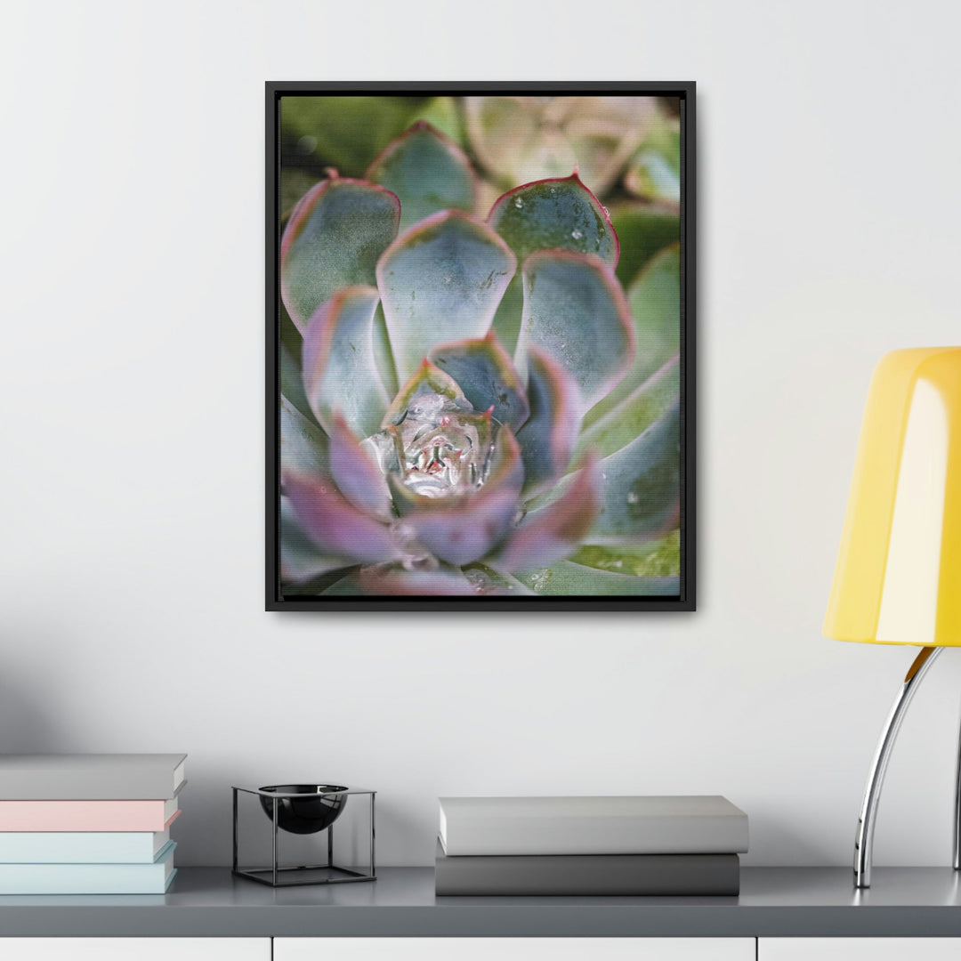 Stunning Succulent - Canvas with Frame - Visiting This World