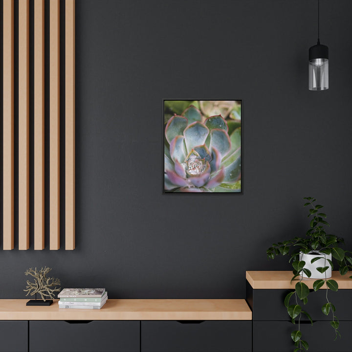 Stunning Succulent - Canvas with Frame - Visiting This World