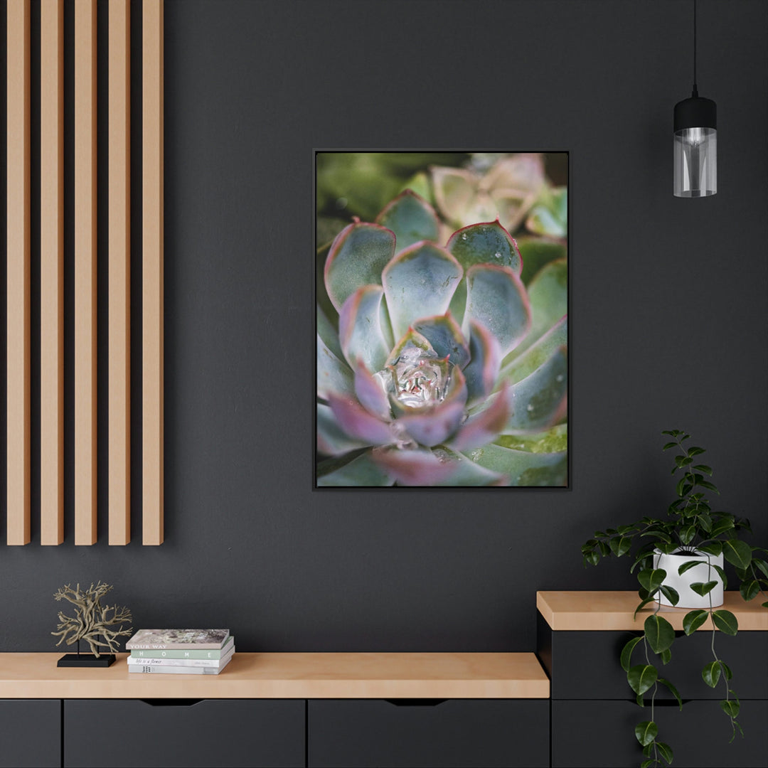 Stunning Succulent - Canvas with Frame - Visiting This World