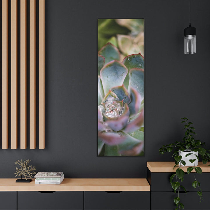 Stunning Succulent - Canvas with Frame - Visiting This World