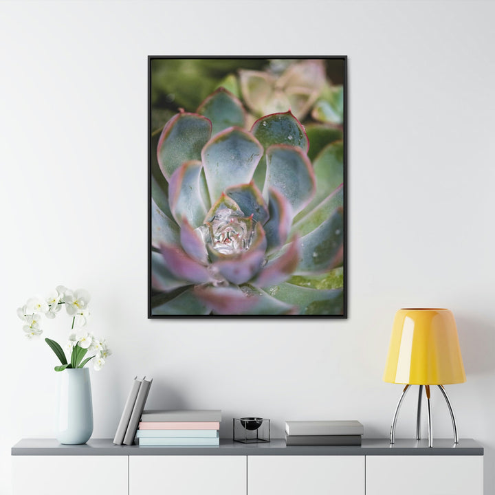 Stunning Succulent - Canvas with Frame - Visiting This World