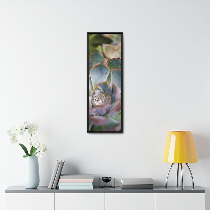 Stunning Succulent - Canvas with Frame - Visiting This World