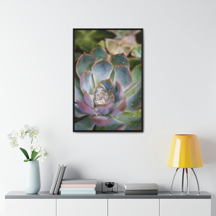 Stunning Succulent - Canvas with Frame - Visiting This World