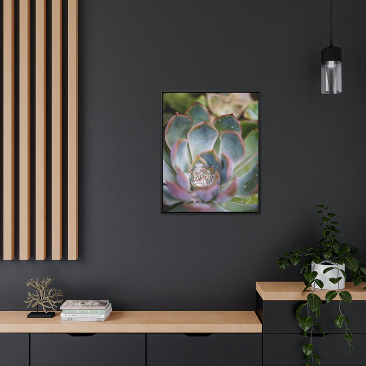 Stunning Succulent - Canvas with Frame - Visiting This World