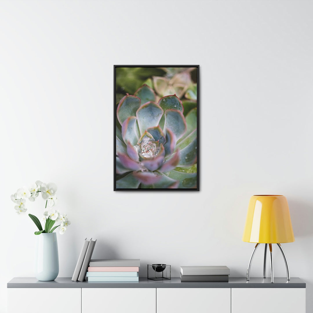 Stunning Succulent - Canvas with Frame - Visiting This World