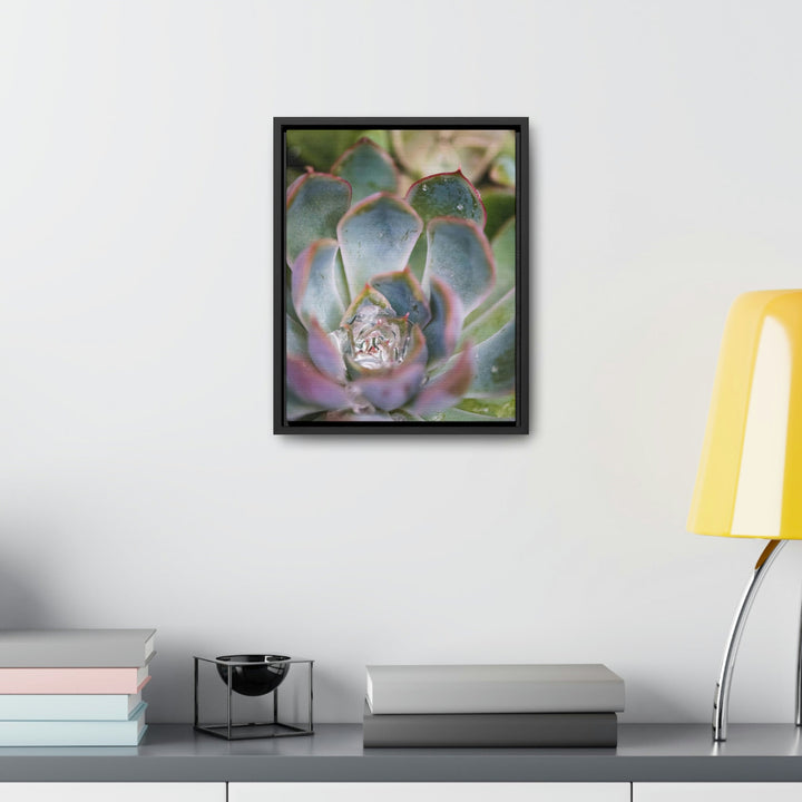 Stunning Succulent - Canvas with Frame - Visiting This World