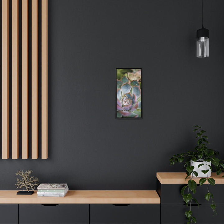 Stunning Succulent - Canvas with Frame - Visiting This World