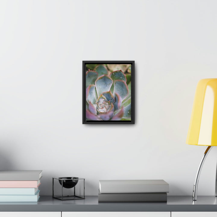 Stunning Succulent - Canvas with Frame - Visiting This World