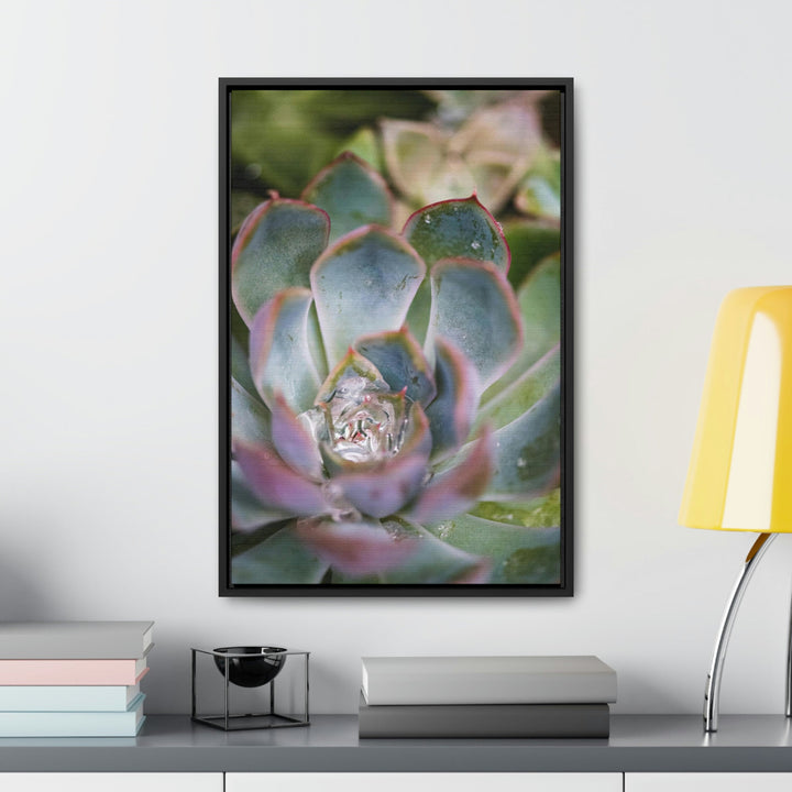 Stunning Succulent - Canvas with Frame - Visiting This World