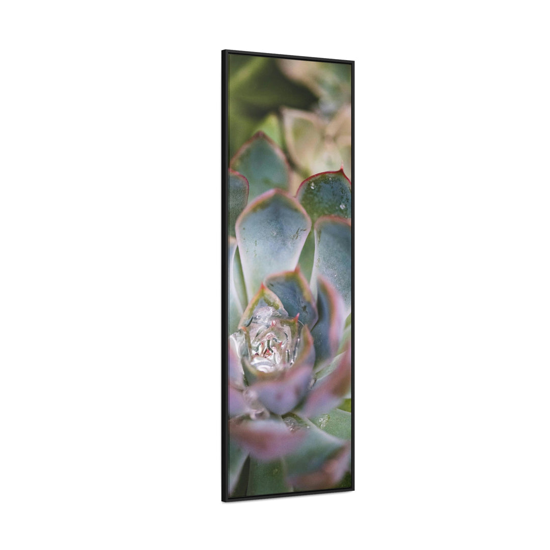 Stunning Succulent - Canvas with Frame - Visiting This World