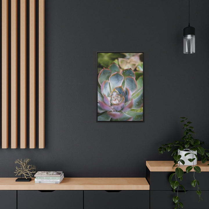 Stunning Succulent - Canvas with Frame - Visiting This World