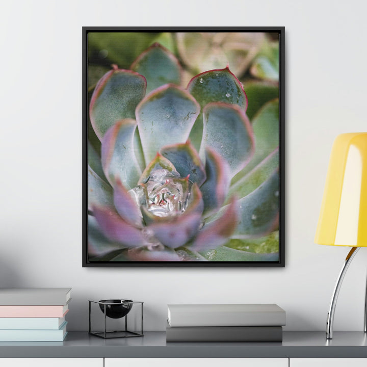 Stunning Succulent - Canvas with Frame - Visiting This World