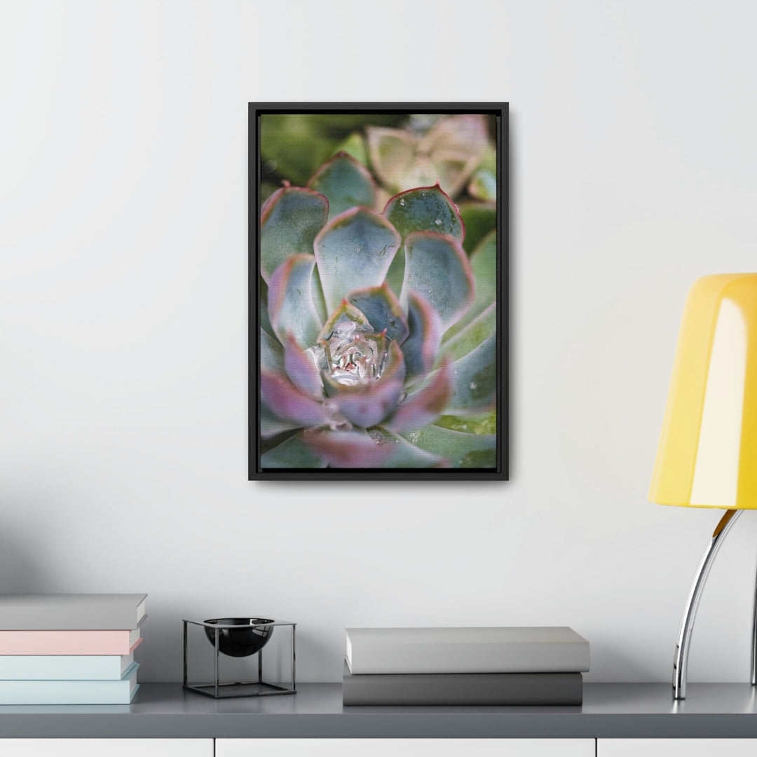 Stunning Succulent - Canvas with Frame - Visiting This World