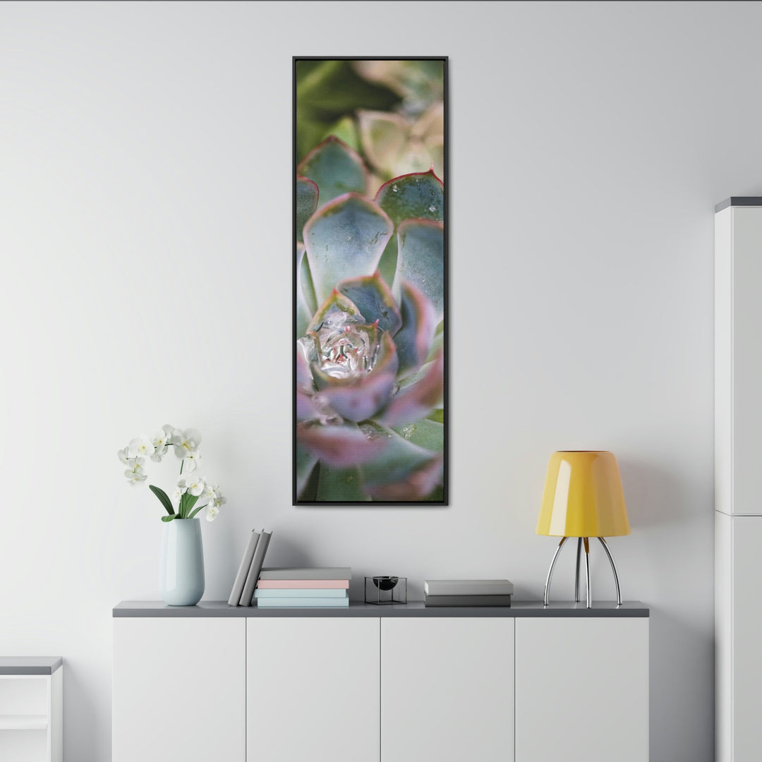 Stunning Succulent - Canvas with Frame - Visiting This World