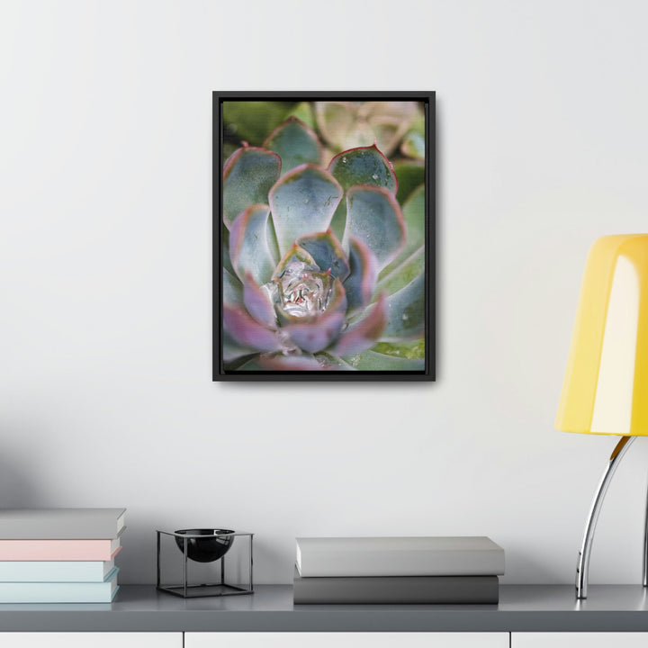 Stunning Succulent - Canvas with Frame - Visiting This World