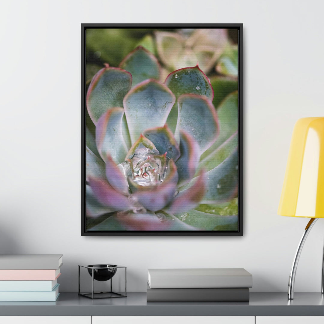 Stunning Succulent - Canvas with Frame - Visiting This World