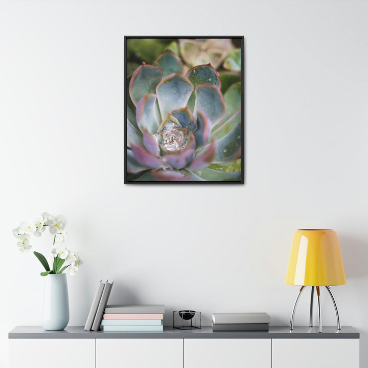 Stunning Succulent - Canvas with Frame - Visiting This World